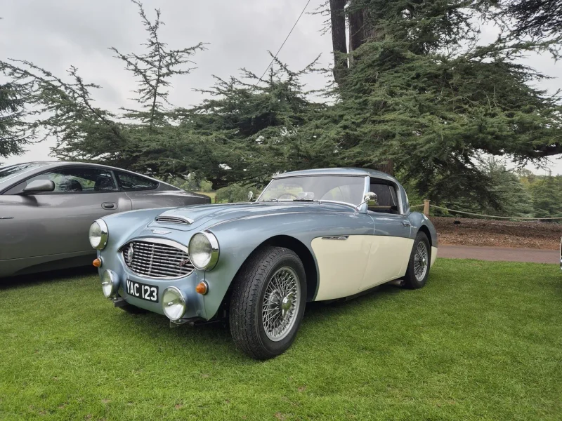 Michelle's 1958 Austin Healey 100/6
