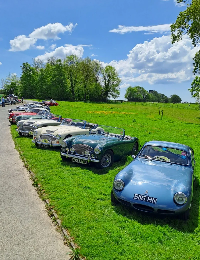 Healey Drivers Club Annual Event