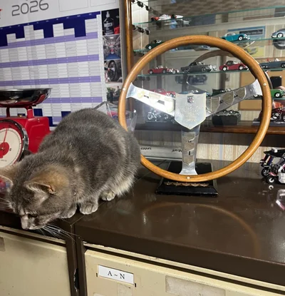 Under the watchful eye of Luna